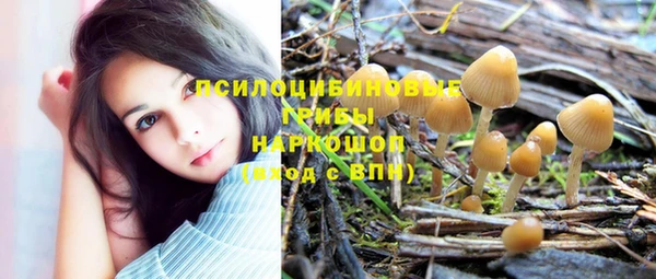 гашиш Нефтекумск