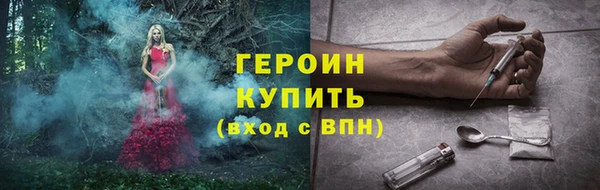 гидра Калининец