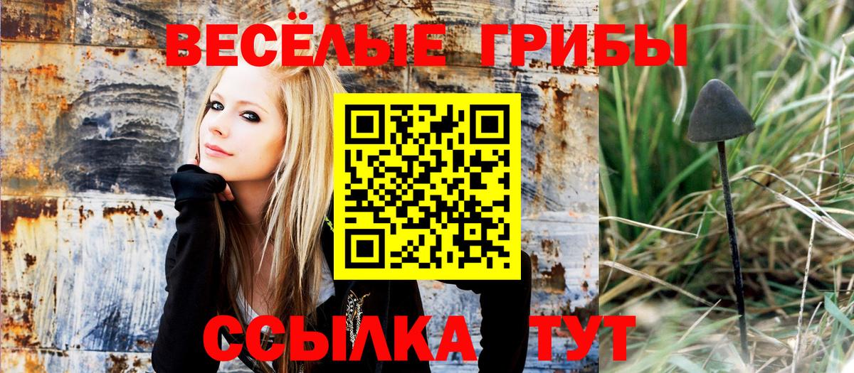 Галлюциногенные грибы Magic Shrooms  Псилоцибиновые грибы Psilocybe  Вход с VPN  Белово 
