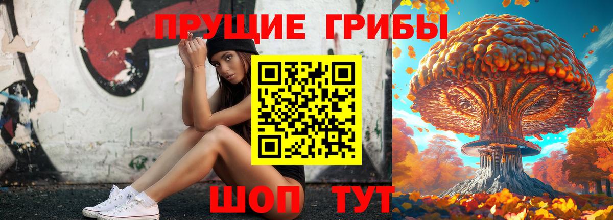 Псилоцибиновые грибы Psilocybe Белово