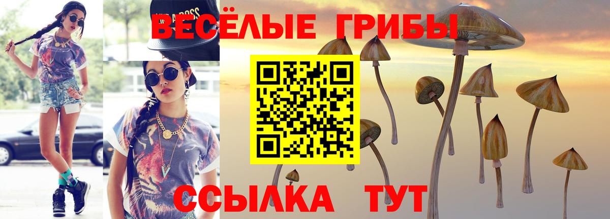 Псилоцибиновые грибы ЛСД  Белово  Псилоцибиновые грибы GOLDEN TEACHER 