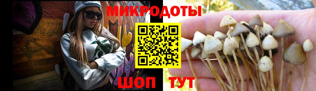 Псилоцибиновые грибы GOLDEN TEACHER Белово